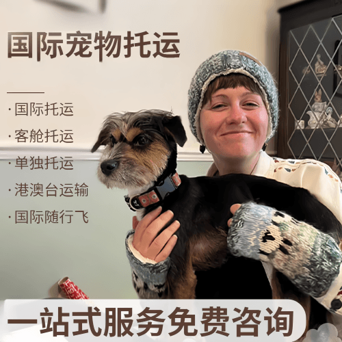 锦州市国际宠物托运到阿根廷宠物入境规定和要