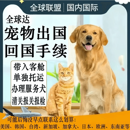 锦州市宠物托运到柬埔寨宠物入境规定和要求
