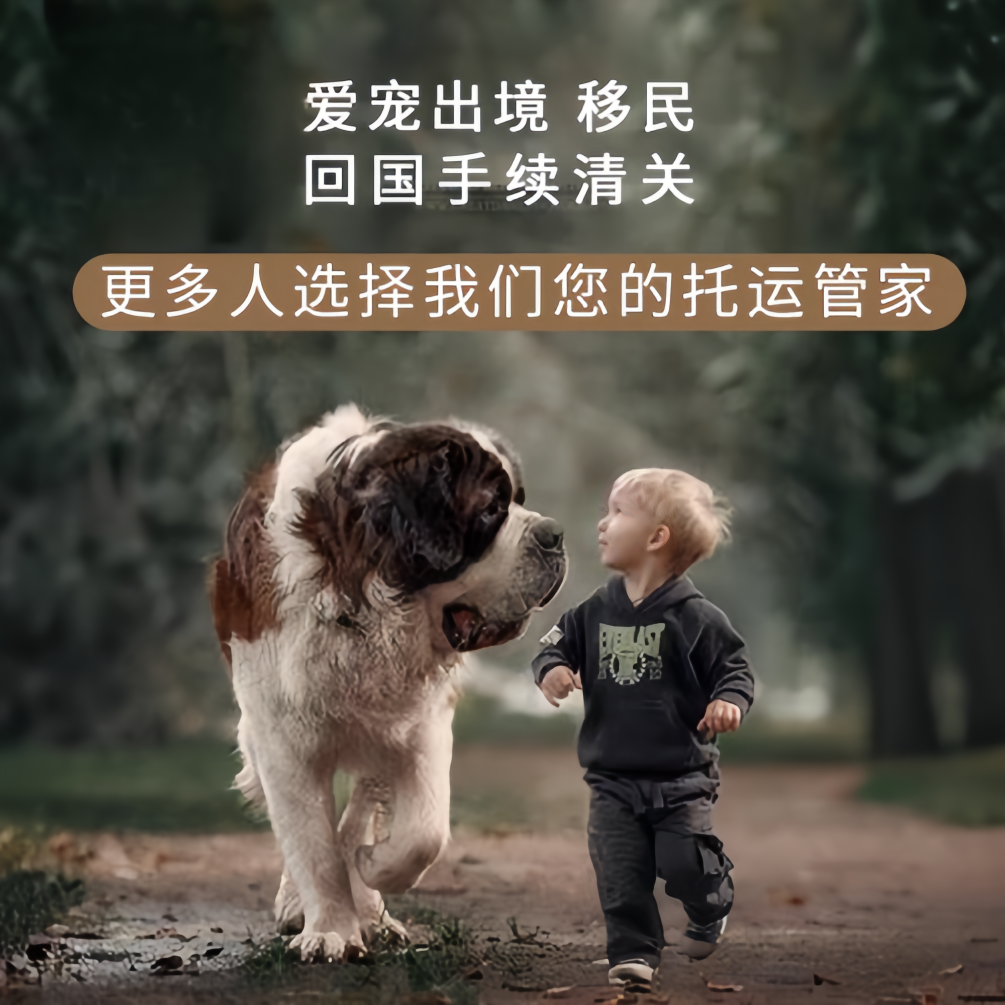 满财锦州市宠物全球达宠物托运在遵守入境目的地政策的条件