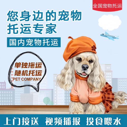 满财锦州市宠物全球达宠物托运作为专业的宠物运输代理机构